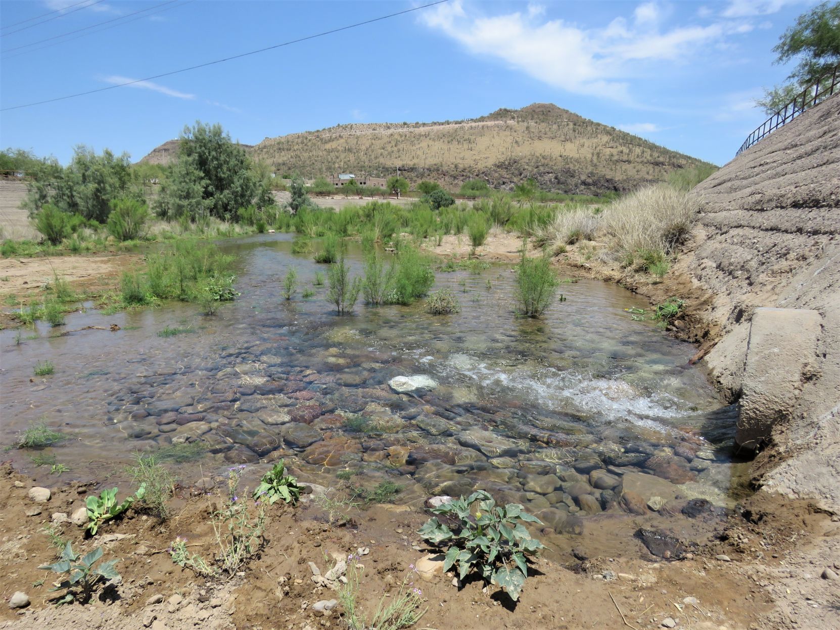 Santa Cruz River